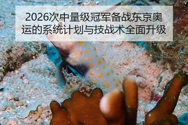 2026次中量级冠军备战东京奥运的系统计划与技战术全面升级