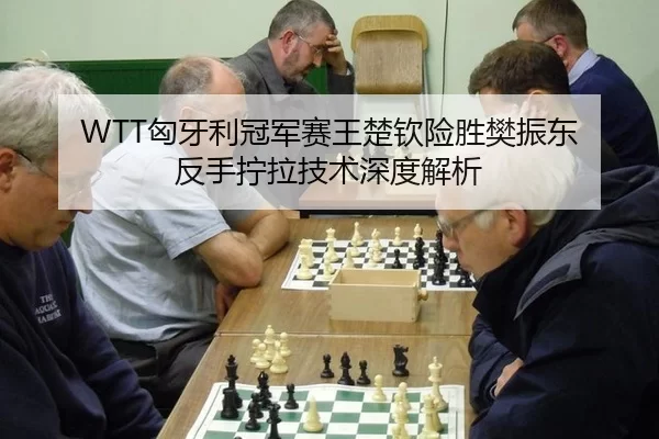 WTT匈牙利冠军赛王楚钦险胜樊振东 反手拧拉技术深度解析